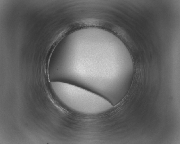 X0000081450398200701121020
