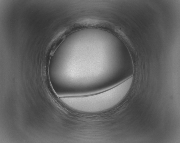 X0000081450399200701121020