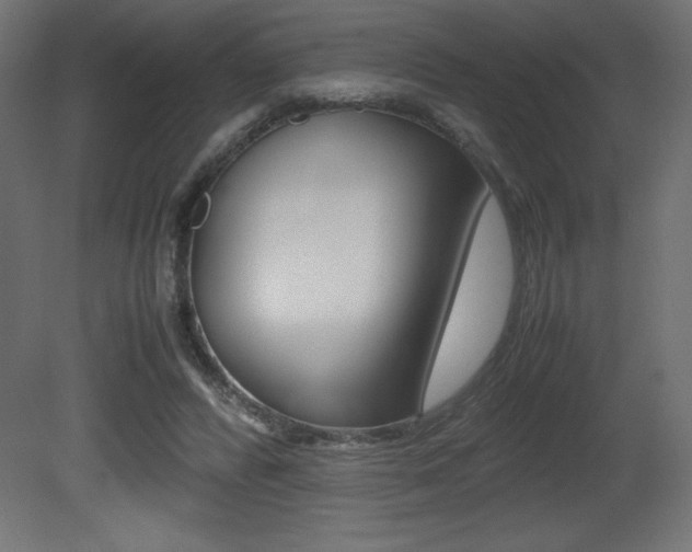 X0000081450400200701121020