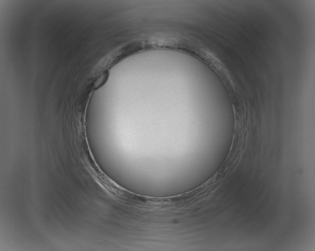 X0000081450401200701121020