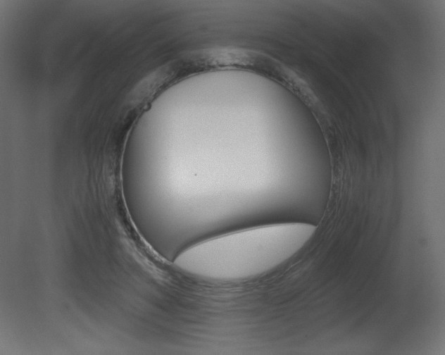X0000081450402200701121020