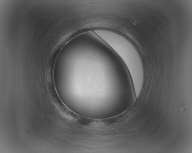 X0000081450403200701121020