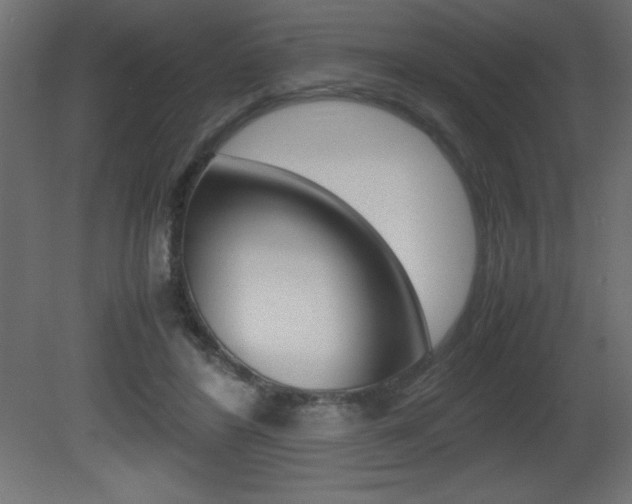 X0000081450404200701121020