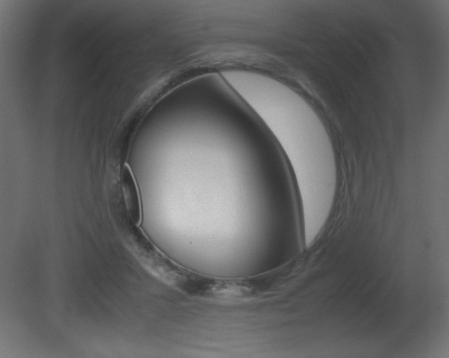 X0000081450407200701121020