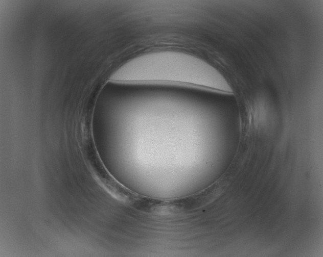 X0000081450408200701121020