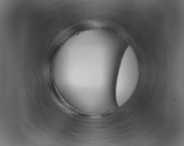 X0000081450410200701121020