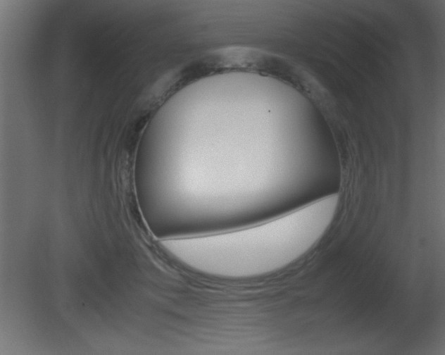 X0000081450413200701121020