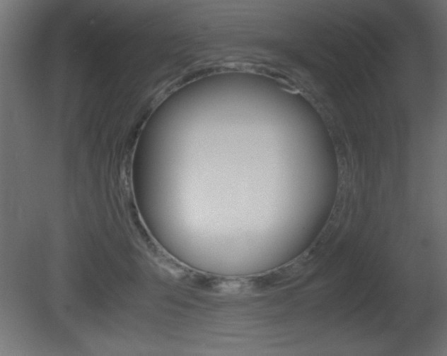X0000081450415200701121020