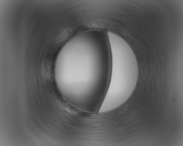 X0000081450416200701121020