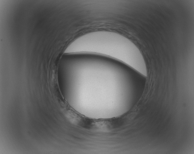 X0000081450417200701121020