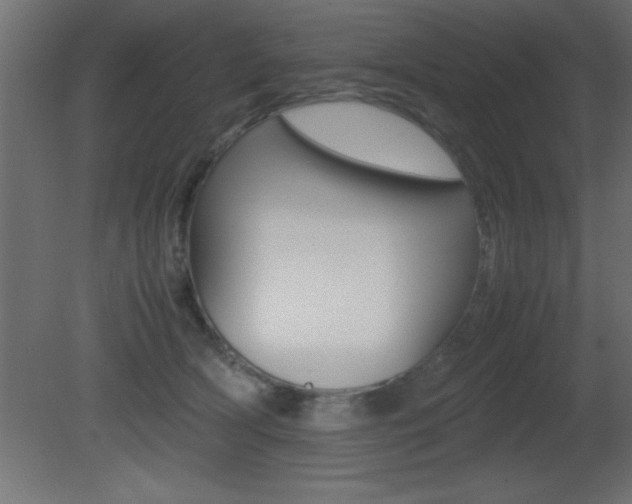 X0000081450418200701121020