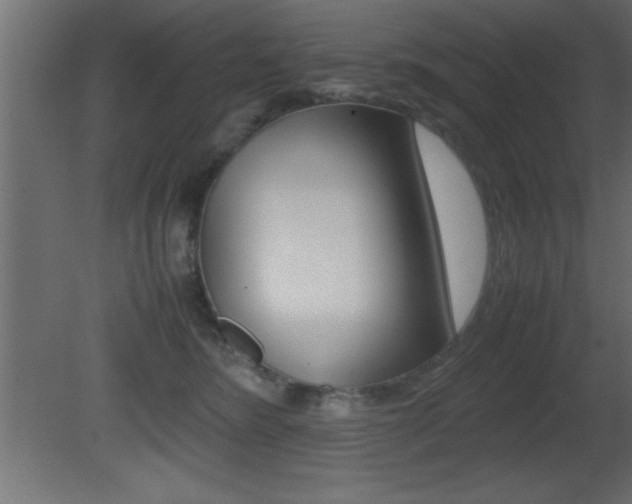 X0000081450420200701121020