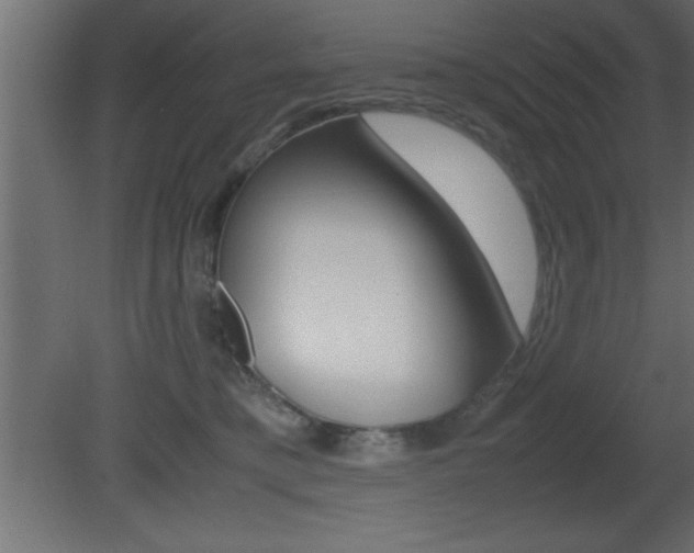 X0000081450421200701121020
