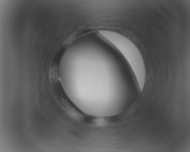 X0000081450425200701121020