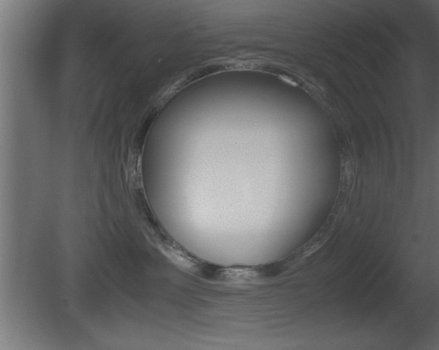 X0000081450429200701121020