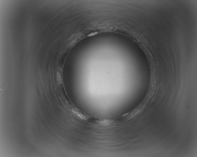 X0000081450432200701121020