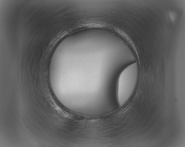 X0000081450433200701121019