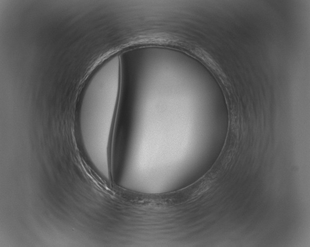 X0000081450434200701121019