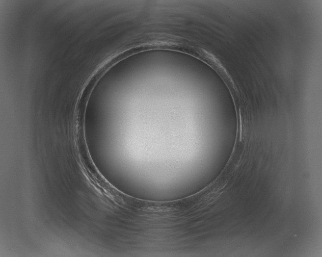 X0000081450435200701121019