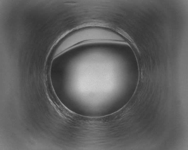X0000081450436200701121019