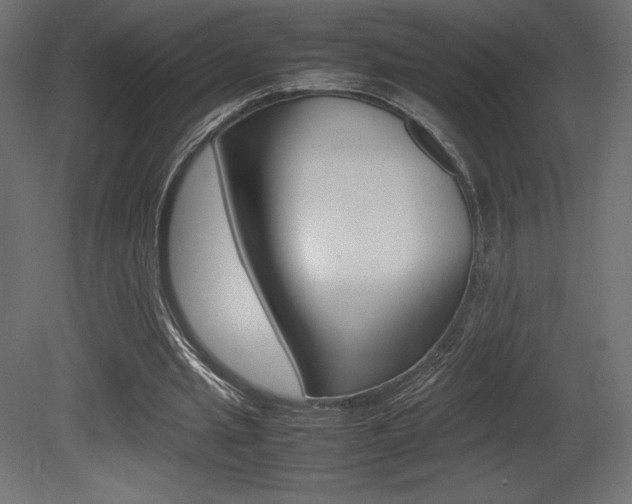 X0000081450437200701121019