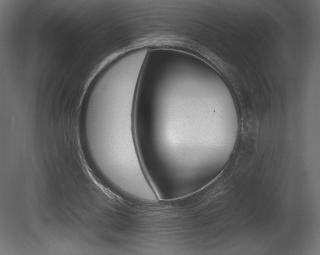 X0000081450438200701121019