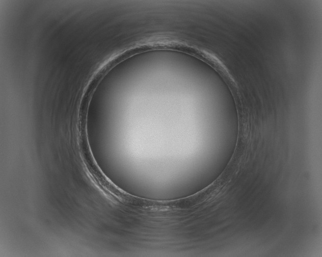 X0000081450439200701121019
