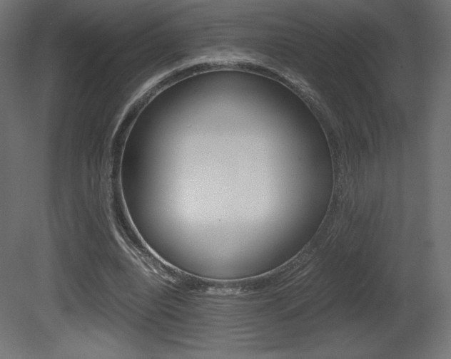 X0000081450440200701121019