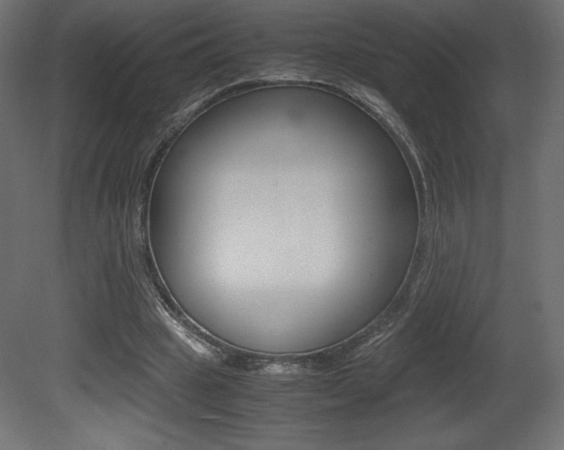 X0000081450441200701121019