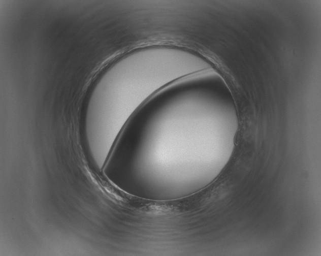 X0000081450442200701121019