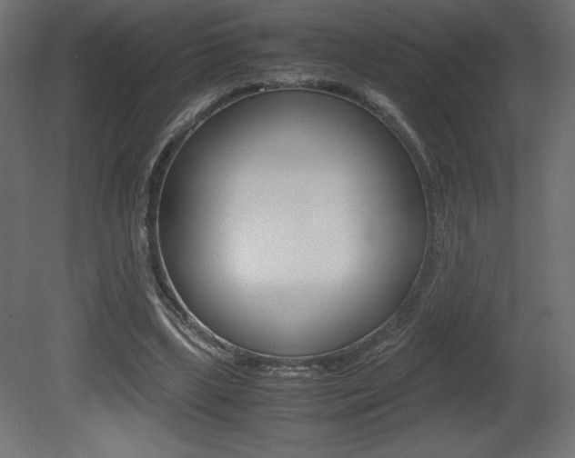 X0000081450443200701121019