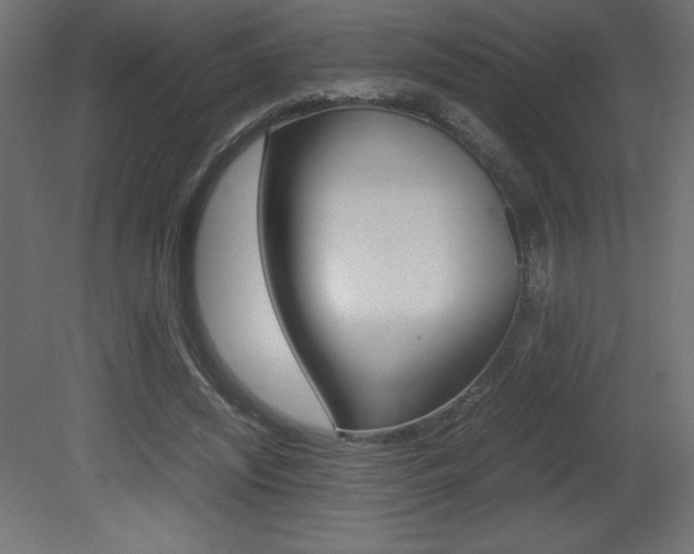 X0000081450444200701121019
