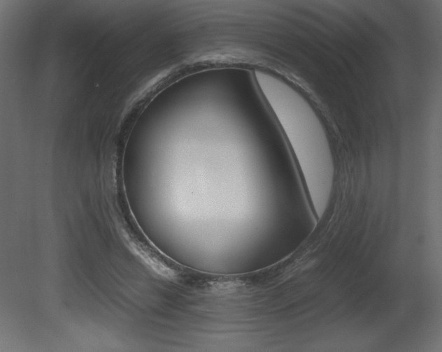X0000081450446200701121019