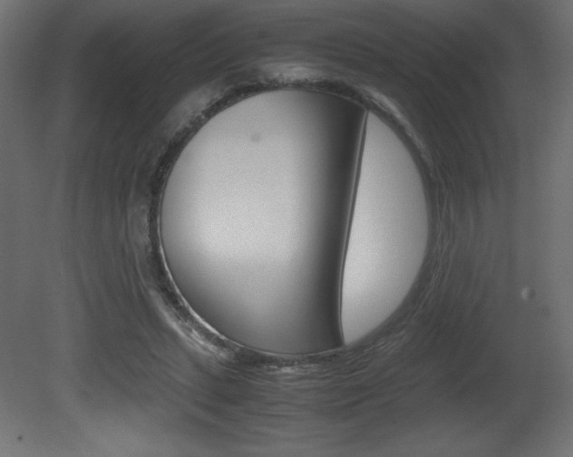 X0000081450447200701121019