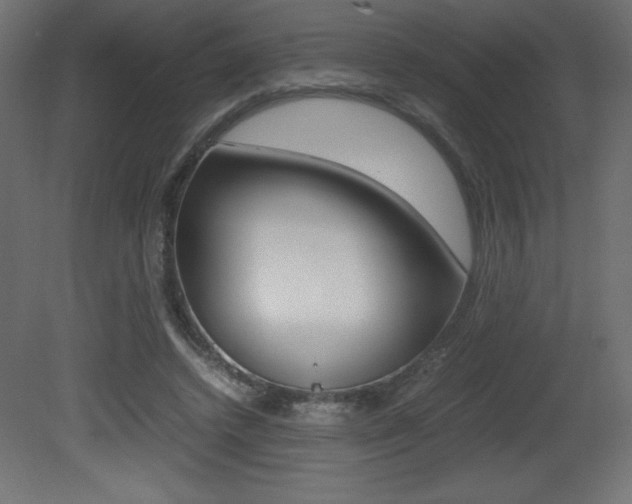 X0000081450448200701121019