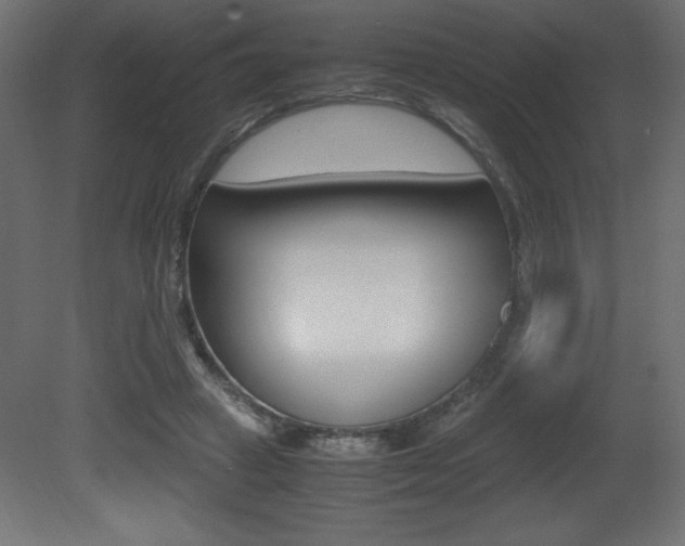 X0000081450449200701121019