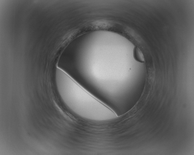 X0000081450451200701121019