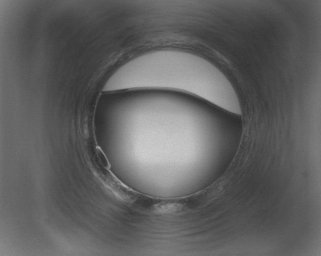 X0000081450452200701121019