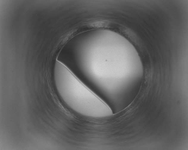 X0000081450453200701121019