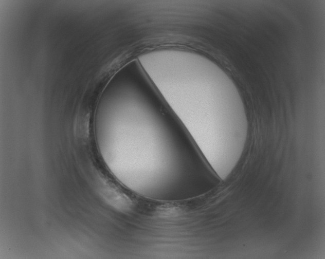 X0000081450454200701121019