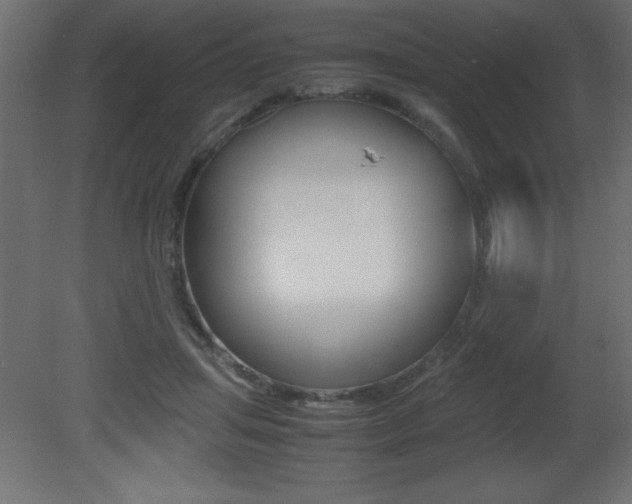 X0000081450455200701121019