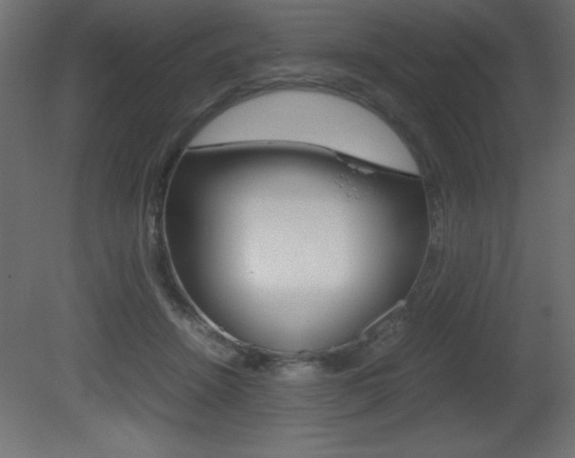 X0000081450456200701121019