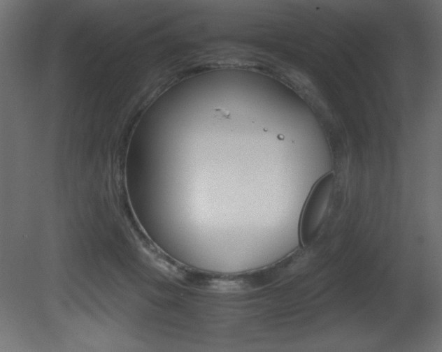 X0000081450457200701121019