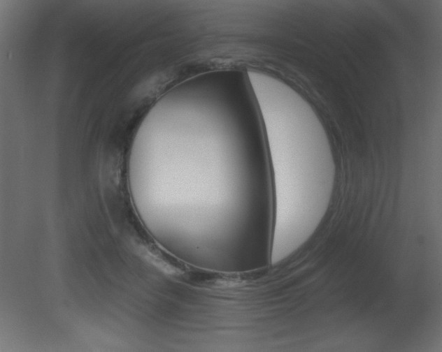X0000081450458200701121019