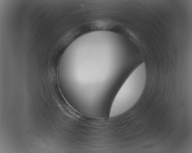 X0000081450459200701121019