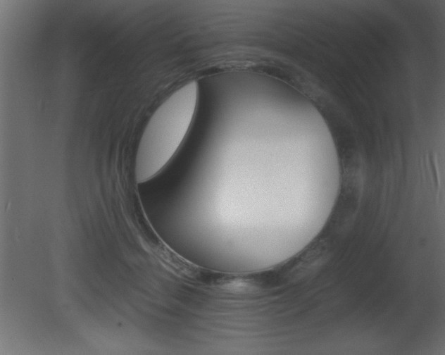 X0000081450460200701121019