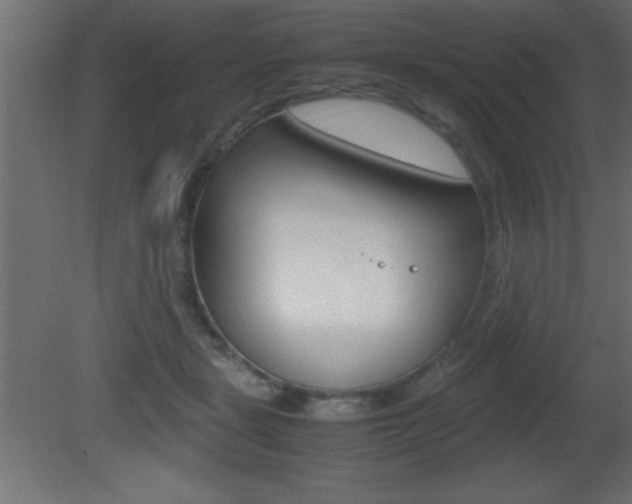 X0000081450461200701121019