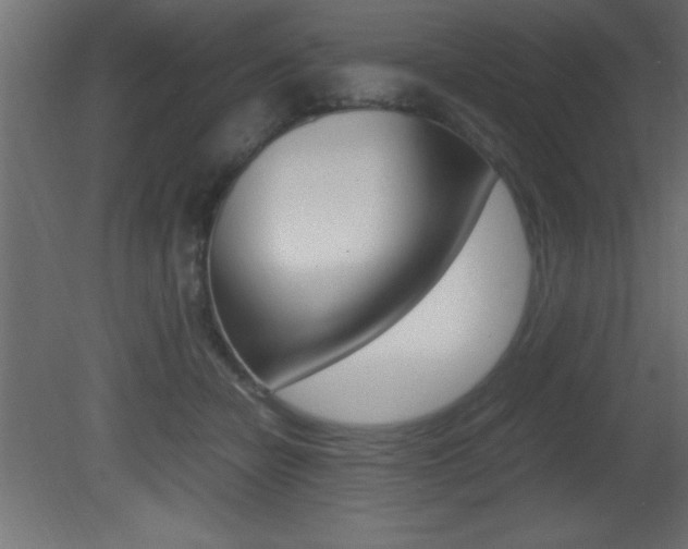 X0000081450462200701121019