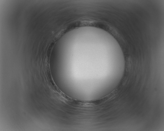 X0000081450463200701121019
