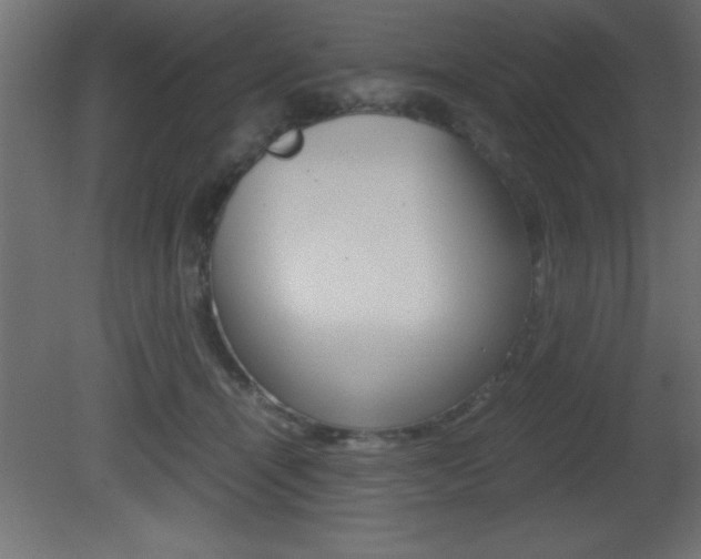 X0000081450464200701121019